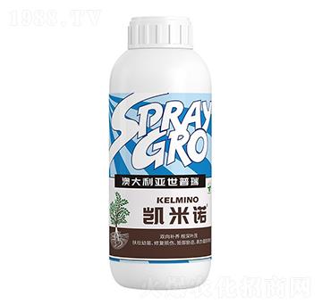 �P���Z-�����ط�