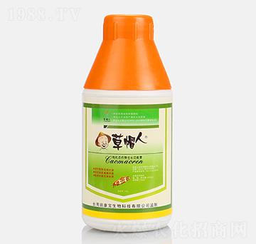 �ЙC�B(t��i)�������L������-��ñ��-�￵��