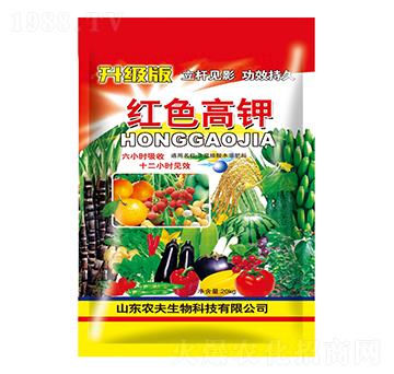 �tɫ���-�r������