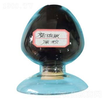 ��ֲ��ԭ��-���港ֲ��