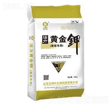 ���ߌ��û����S���-����ţ