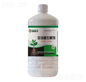 ȫ���������-��������