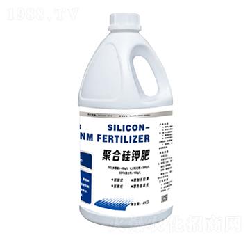 �ۺϹ�⛷�-����һ̖-���r��