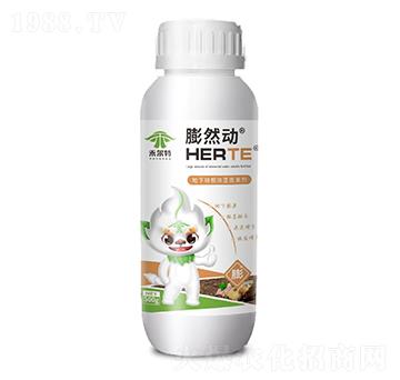 ���K���K�o�����-��Ȼ��-�̠���