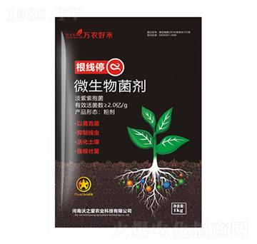 ����ͣ-��֮��