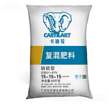 �����͏�(f��)�����15-15-15-������-������