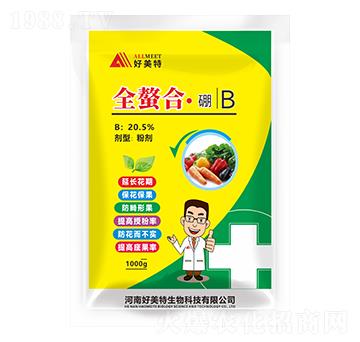 ȫ���ϡ���-������