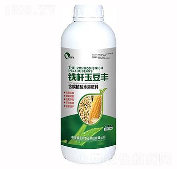 �F�U���S-�����S-���Π�