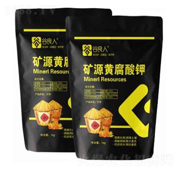 �VԴ�S�����-������-�֠�Ԫ