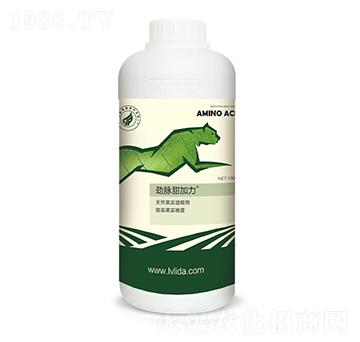 ��Ȼ�������Ǆ�-���}�����-�G���_