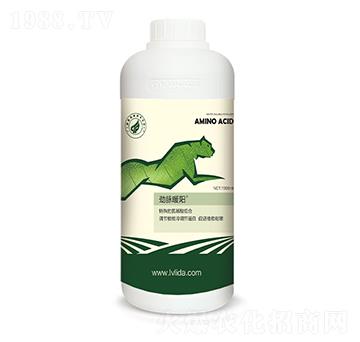 ���{��(ji��)���״��M��-���}ů�-�G���_