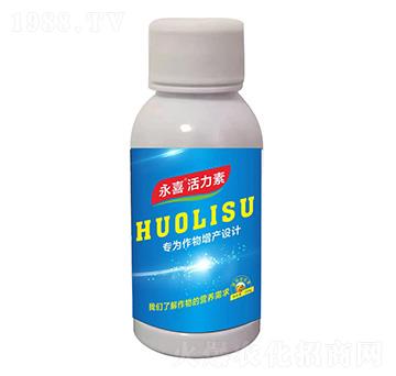 ������-����ֲ��