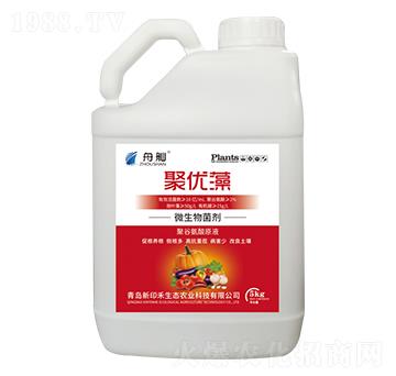 �ۃ�(y��u)��΢�������-����-��ӡ��