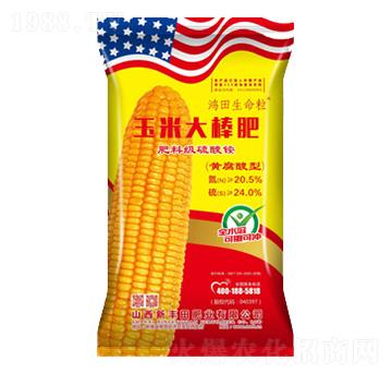 �S���������״����-����������-���S��ʘI(y��)