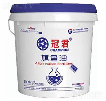 ���~��-�ھ�-ס�̇��H