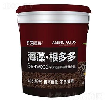 ���塤�����-����-�����r(n��ng)�I(y��)