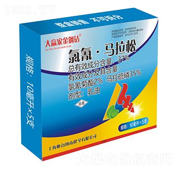 37%���衤�R��������-���˻��W(xu��)