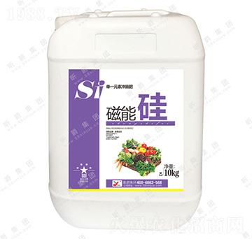 ���ܹ�-꿾�