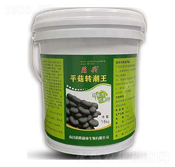 ƽ���D����-���d-���_����