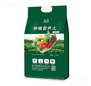 �ЙC(j��)�I(y��ng)�B(y��ng)��-�����ʘI(y��)