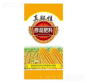 �������-������-��ʢ�μ�