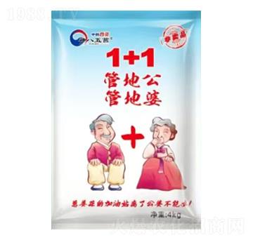 �ܵع��ܵ���1+1΢�������-�����̦