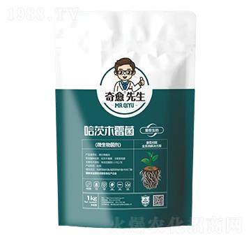 ����ľù���ز�����-��������-������r(n��ng)