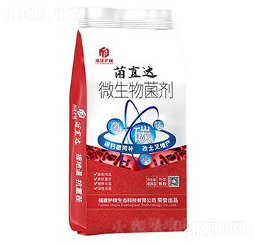 ��ֱ�_(d��)΢�������-�����o(h��)��