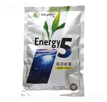 ���徫+�~����-��������5-�����r�I(y��)