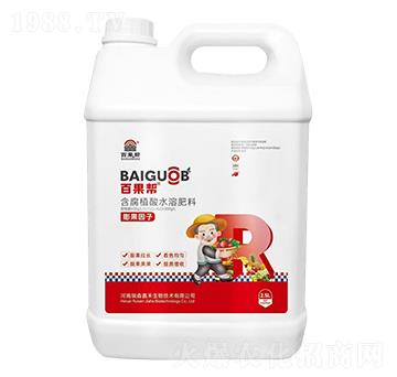 ����ֲ��ˮ�ܷ���-�ٹ���-��ɭ�κ�