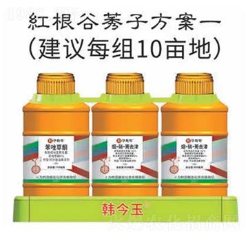 �t����ݬ�ӷ���-�n����-�n�ѻ��W