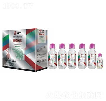 ˮ����������a-�n����-�n�ѻ��W