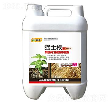 ������-����-���r����