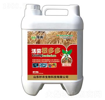 ��������-����-���r����