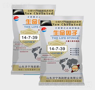 ����Ԫ�؝�s��������14-7-39-�������