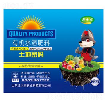 �������ЙC(j��)ˮ�ܷ���-�����ܴa-Ǭʮ��-�t̫���r(n��ng)�I(y��)