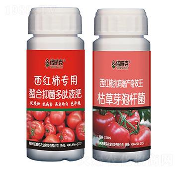 ���t�����������־�����Һ��+���t���������a��Ч��-�Z����