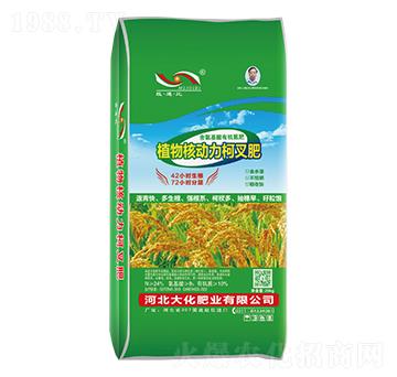 ���������ЙC����-�󻯷ʘI(y��)