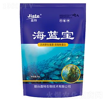 ���{(l��n)��-��������