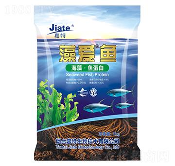 ���(��i)���~(y��)-��������