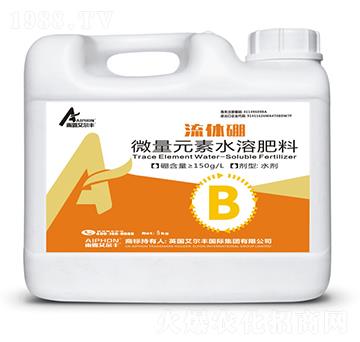 ���w��-��¶�����S