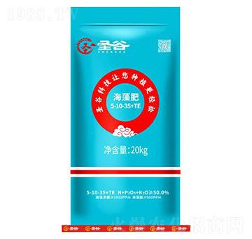 �����5-10-35+TE-ʥ��-�����r(n��ng)�I(y��)