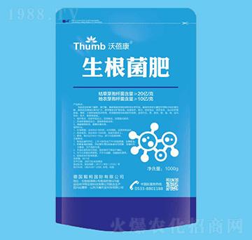 ��������-������-����r(n��ng)�I(y��)