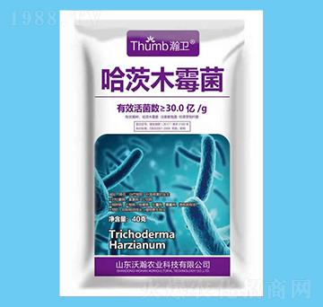 30�|�������ľù��-��l(w��i)-����r(n��ng)�I(y��)