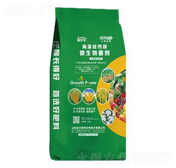 40kg΢�������-������}�V-�����S-�����_(d��)����