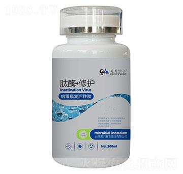 ��ø�����o(h��)�������ޏ�(f��)�����ģ�-����ź�