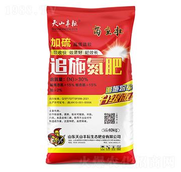 ׷ʩ���ʣ�����-������-��ɽ�S��