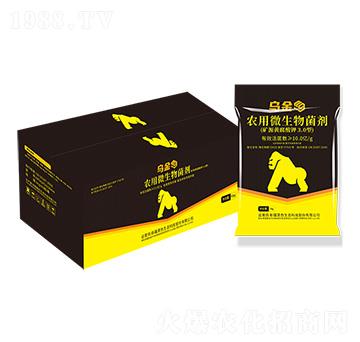 �����r(n��ng)��΢����������䣩-��ɫ���B(t��i)