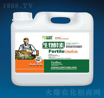 ����������ͺ��������