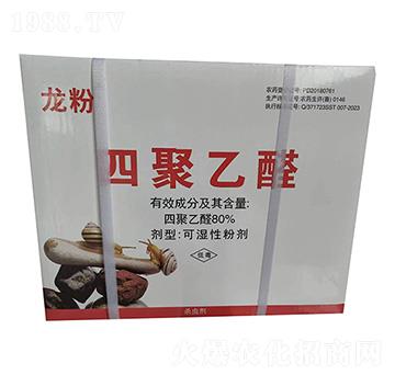 80%�ľ���ȩ(��)-����-����